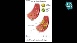 فواید مصرف بادام در ماه