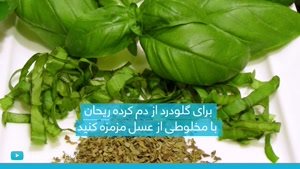 قلب سالم با ریحان معجزه گر قسمت دوم