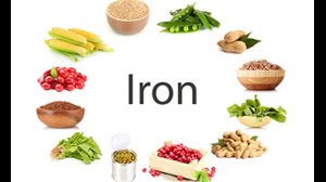 مواد غذایی موثر در جذب آهن در بدن