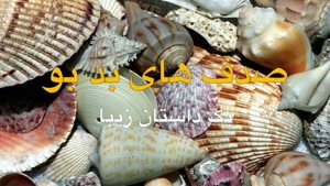 داستان صدف های بد بو