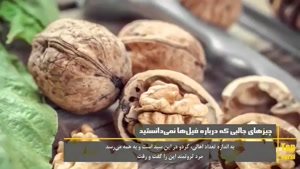 داستان قدر خانواده را بدانید