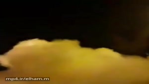 شما این فیلمو تو هر سفارت خونه ای ببری درجا بهت پناهندگی میدن😂
