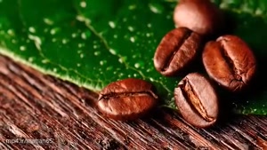 ۱۰ فایده نوشیدن قهوه برای سلامتی که از آن خبر نداشتید