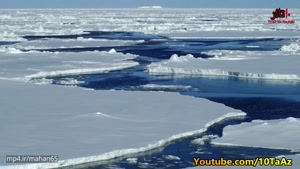 12 واقعیت شنیدنی از قطب شمال