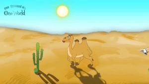 انیمیشن شاد و آموزنده درباره شتر
