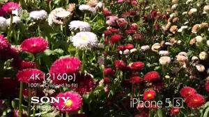 مقایسه دوربین Sony Xperia Z2 و s iPhone 5s