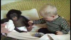 بازی کردن نی نی با بچه میمون بانمک
