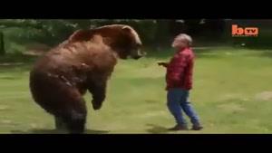 زندگی مرد با خرس بزرگش