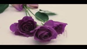 سلامی چو بوی خوش آشنایی