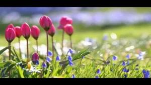  گر تیغ بارد در کوی آن ماه