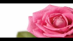 صوفی بیا که خرقه سالوس برکشیم