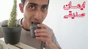 خوردن کاکتوس توسط یک ایرانی!
