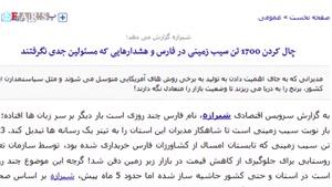 دفاع دولتی ها از فعل حرام/ دفن 1700 تن سیب زمینی به بهانه تنظیم بازار