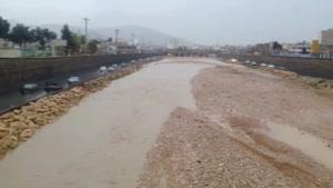 فیلم/ بارش باران رودخانه خشک شیراز را جاری کرد