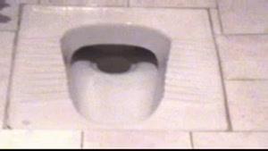 کلیپ تبلیغ طنز کاسه توالت اصغر مگس !!!