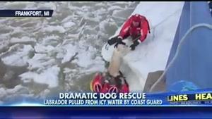 نجات سگ از داخل آب یخ