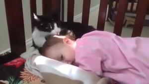 دختر کوچولو و گربه ی مهربون !