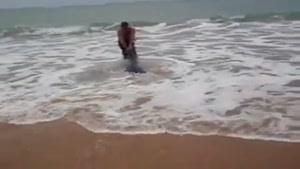 نجات دادن عجیب کوسه توسط یک مرد در ساحل