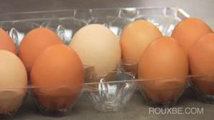 کدام تخم مرغ تازه تر است و زرد تر ؟