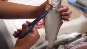 آموزش تمیز کردن ماهی با روشی آسان و ساده
