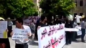 تجمع مردم شیراز مقابل شهرداری در اعتراض به سگ کشی