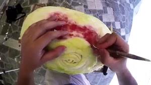 هنرنمایی روی هندوانه
