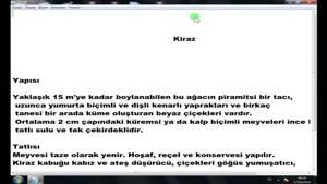 آموزش HTML به زبان ترکی قسمت 19