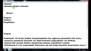 آموزش HTML به زبان ترکی قسمت 14