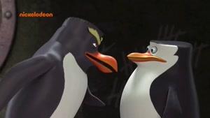 پنگوئن های مادگاسکار 2015 قسمت 52