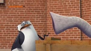 پنگوئن های مادگاسکار 2015 قسمت 35