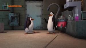 پنگوئن های ماداگاسکار 2015 قسمت 107