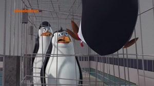 پنگوئن های مادگاسکار 2015 قسمت 19