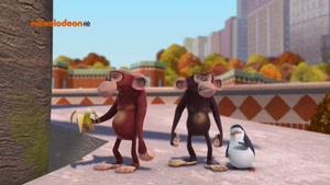 پنگوئن های مادگاسکار 2015 قسمت 40