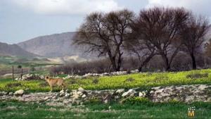 مناطق گردشگری استان لرستان