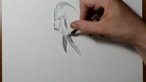 نقاشی سه بعدی ازدلفین