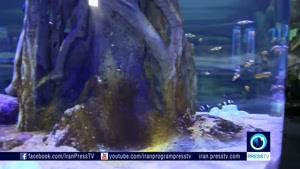 Iran Isfahan city Aquarium آكواريوم شهر اصفهان ايران