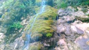 abshar e pary-آبشار پری در شمال ایران
