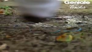 ترفند خیس نشدن کفش پارچه ای و جورابتان با ساده ترین روش در خانه