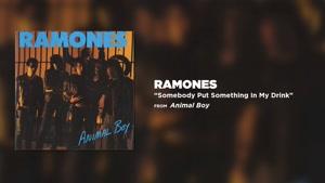 آهنگ Somebody Put Something In My Drink از Ramones
