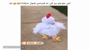 این جوجو واقعا خوردن داره