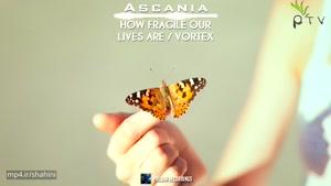 -Trance -Ascania - How Fragile Our Lives Are (Original Mix)