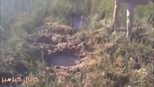 اینا کجا رفتند!😳😄