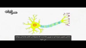 یاخته ی عصبی یا نورون چیست؟