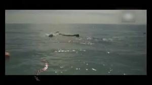 نجات نهنگ غول پیکر از دام صیاد 