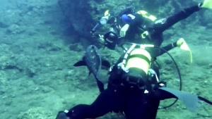 مستند زیبا از جهان زیر آب قسمت 7