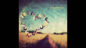 Chiffre 100-Beautuful Life