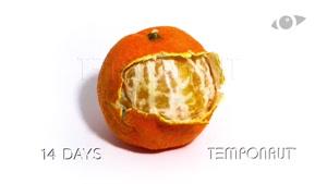 تایم لپس کپک زدن نارنگی