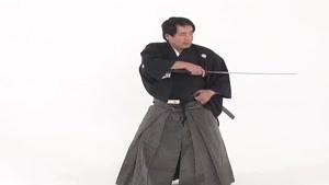 تکنیک های پیشرفته در شمشیربازی