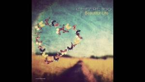 Chiffre 100-Beautiful Life