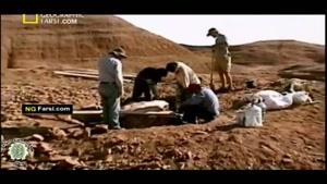 مستند فارسی - تله مرگ دایناسور - قسمت 4